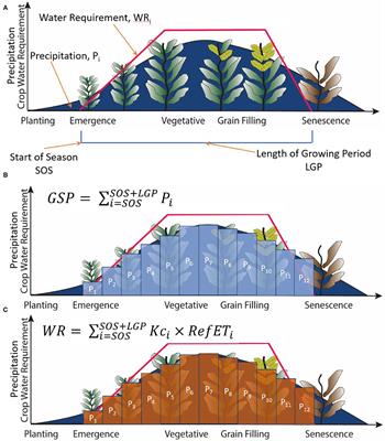 Phenological Water Balance Applications for Trend Analyses and Risk Management